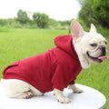 Hooded Dog Sweater Thickened Warm Winter Hoodie for Small Dogs & Cats