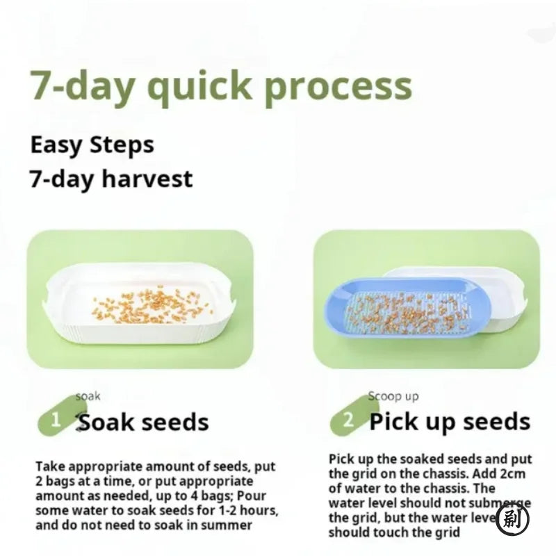 Hydroponic Cat Grass Growing Kit Soilless Catnip Planting Pot Set for Cats