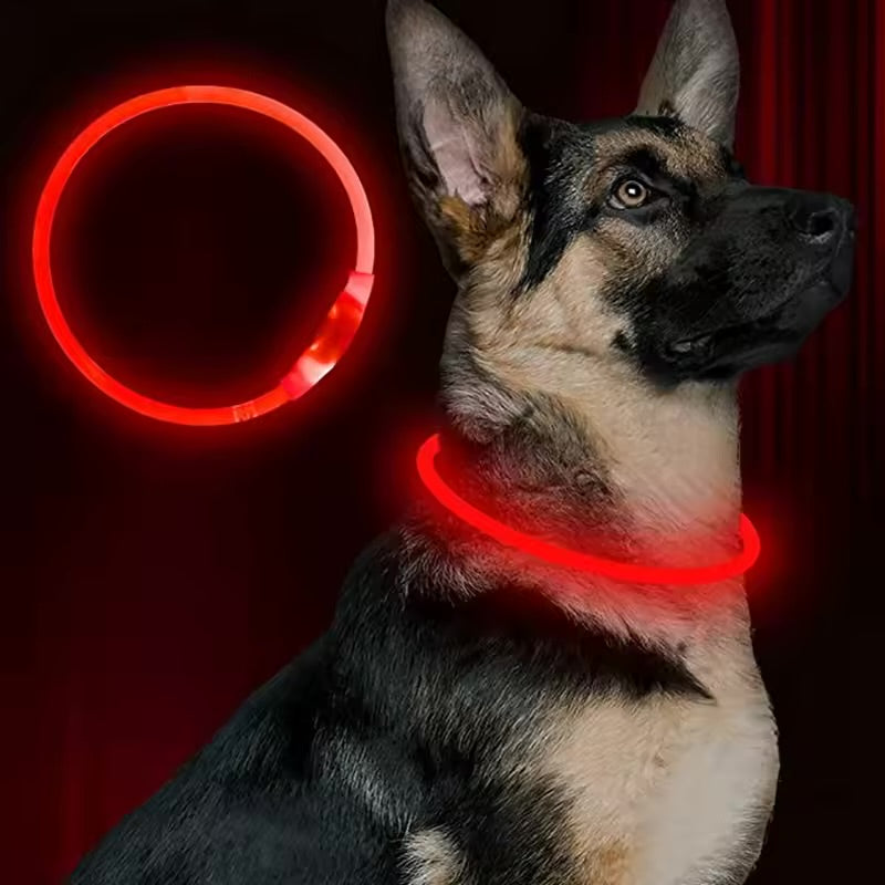 USB Rechargeable LED Dog Collar Night Safety Flashing Glow Collar for Dogs