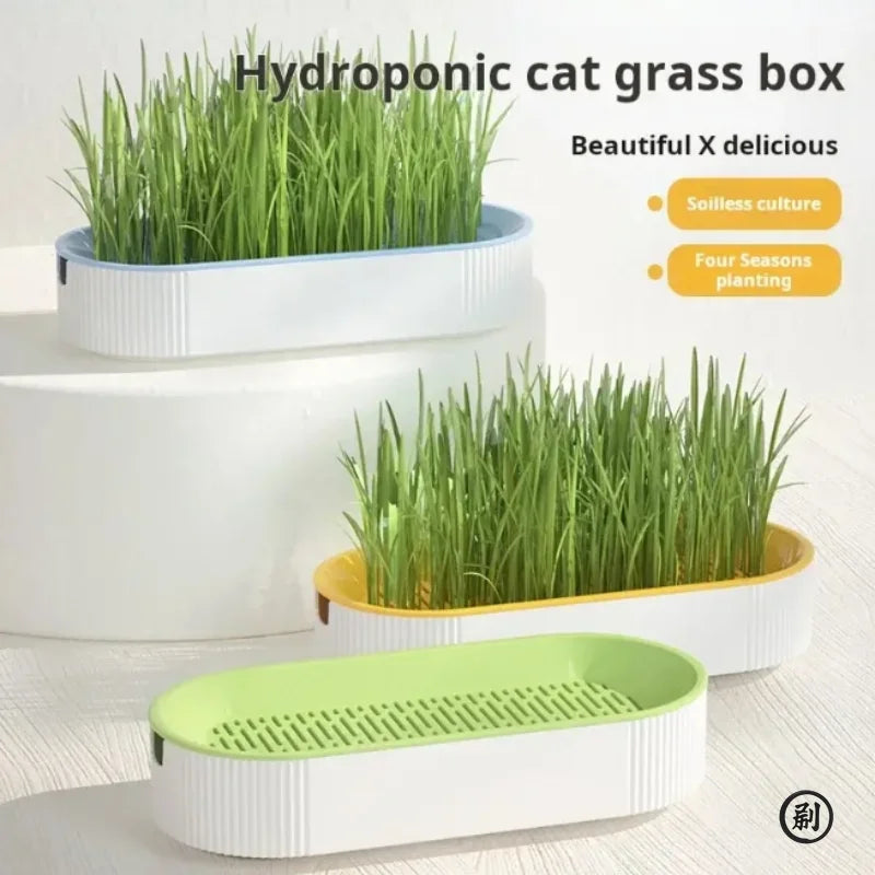 Hydroponic Cat Grass Growing Kit Soilless Catnip Planting Pot Set for Cats