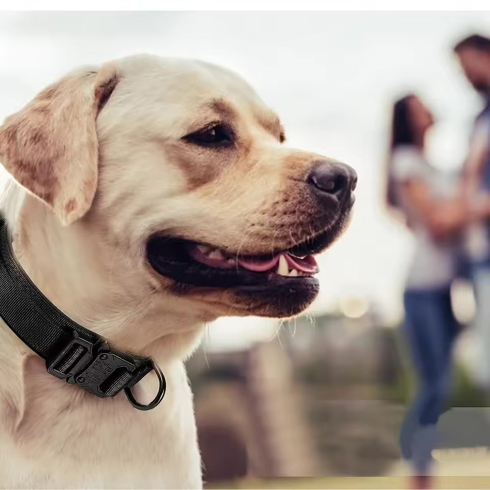 Tactical Military Dog Collar Adjustable Heavy Duty Nylon Collar with Control Handle for Medium & Large Dogs