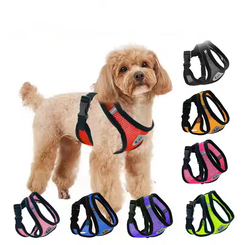 Breathable Summer Pet Harness & Leash Set Lightweight Chest Strap for Small Dogs & Cats