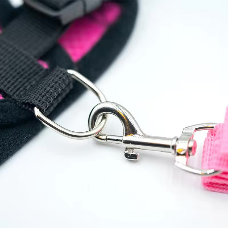 Breathable Summer Dog Harness & Leash Set Lightweight Vest for Small Dogs & Cats