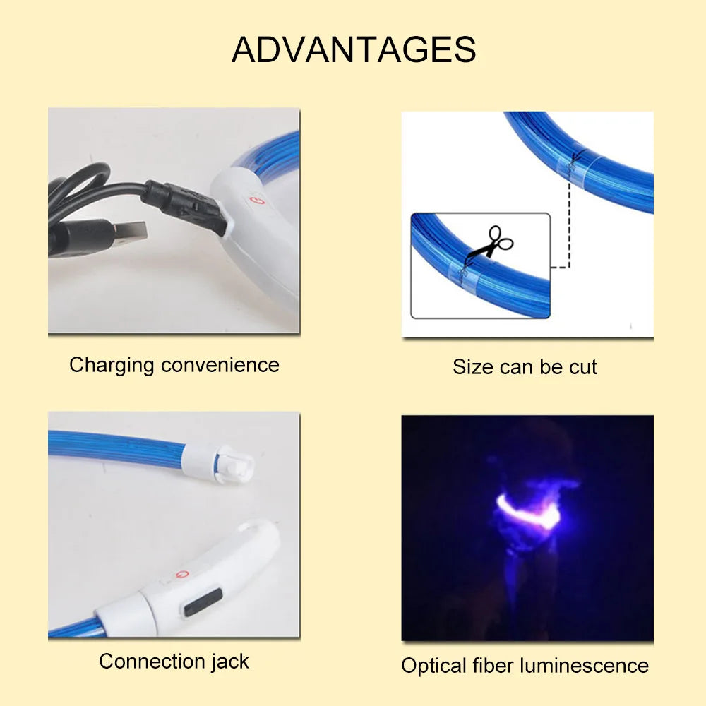 USB Rechargeable LED Dog Collar Night Safety Flashing Glow Collar for Dogs