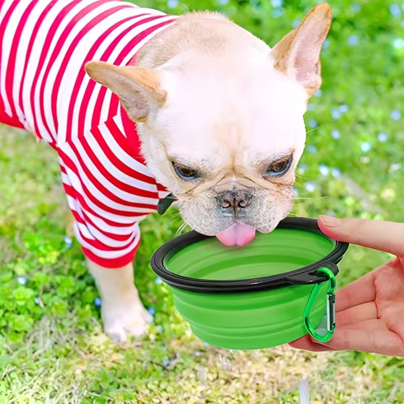 Collapsible Pet Travel Bowl Portable Silicone Food & Water Bowl for Cats & Dogs