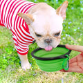 Collapsible Pet Travel Bowl Portable Silicone Food & Water Bowl for Cats & Dogs