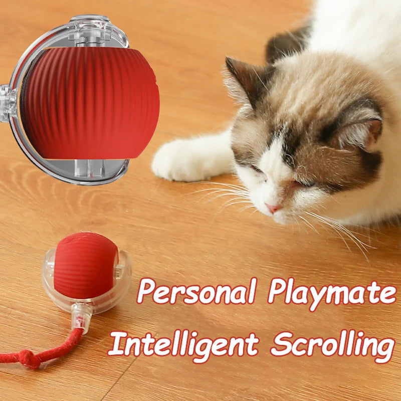 “Smart Interactive Cat Ball Toy — Automatic Rolling LED Pet Entertainer (3pc Set)”