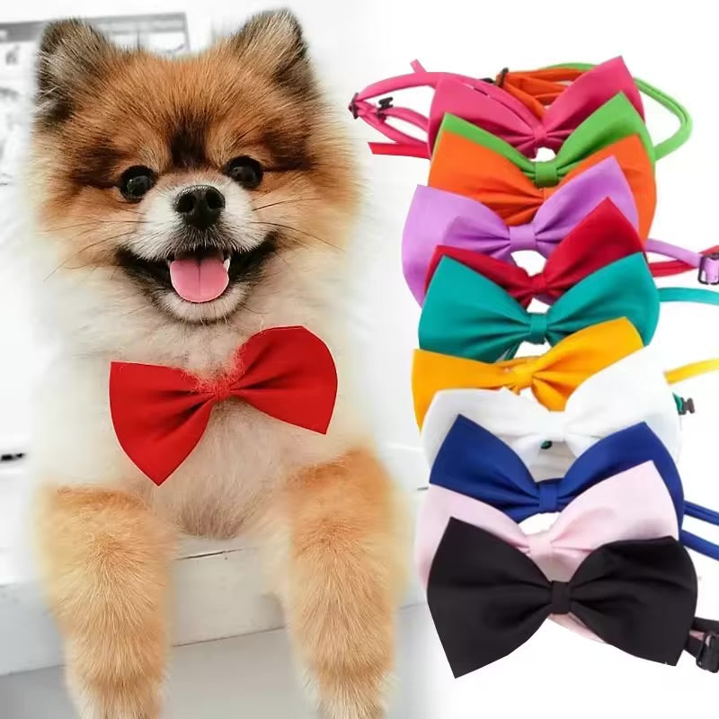 Adjustable Pet Bow Tie Collar Necklace Cute Accessory for Dogs & Cats