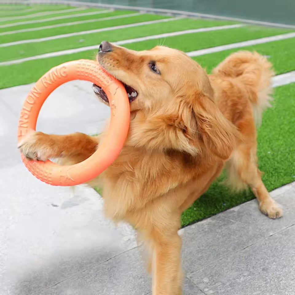 EVA Dog Flying Disc Toy lnteractive Training Ring Puller for Active Dogs