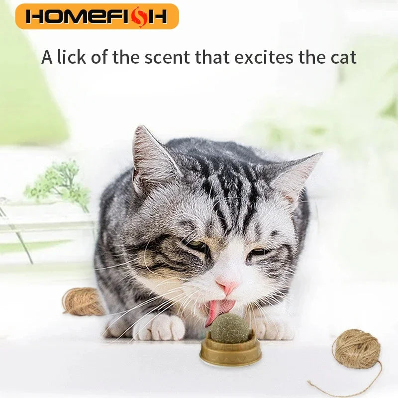 Natural Catnip Wall Ball Toy Stick-On Cat Scratcher & Digestive Health Treat
