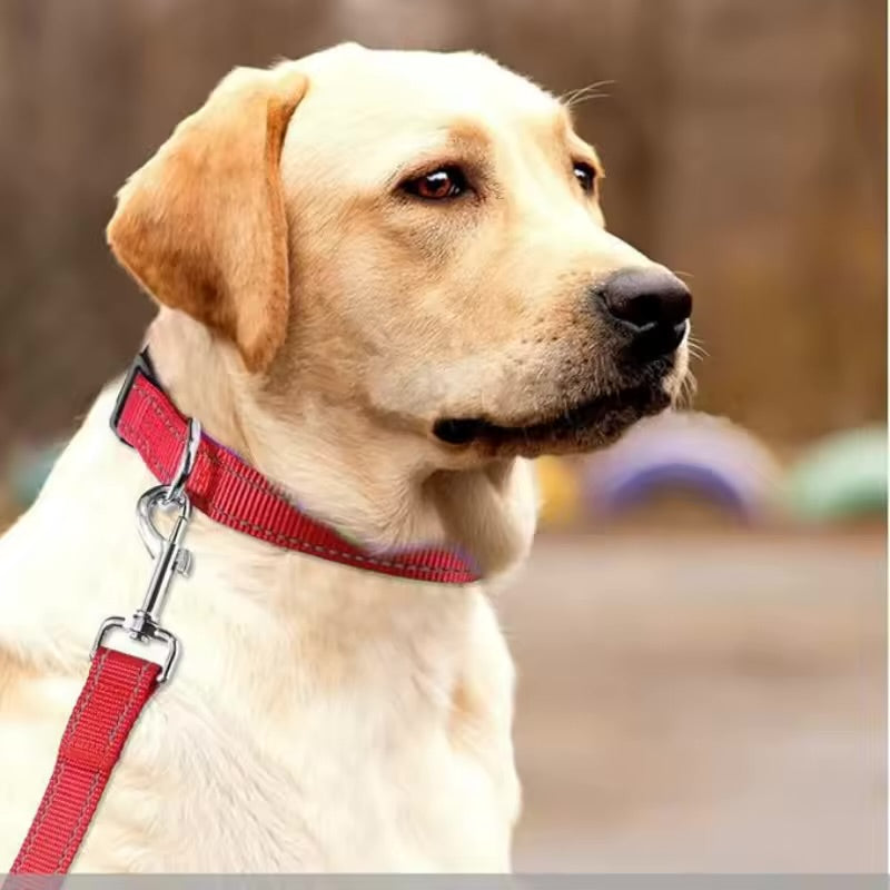 Reflective Dog Collar Adjustable Safety Nylon Collar & Leash for Small & Medium Dogs