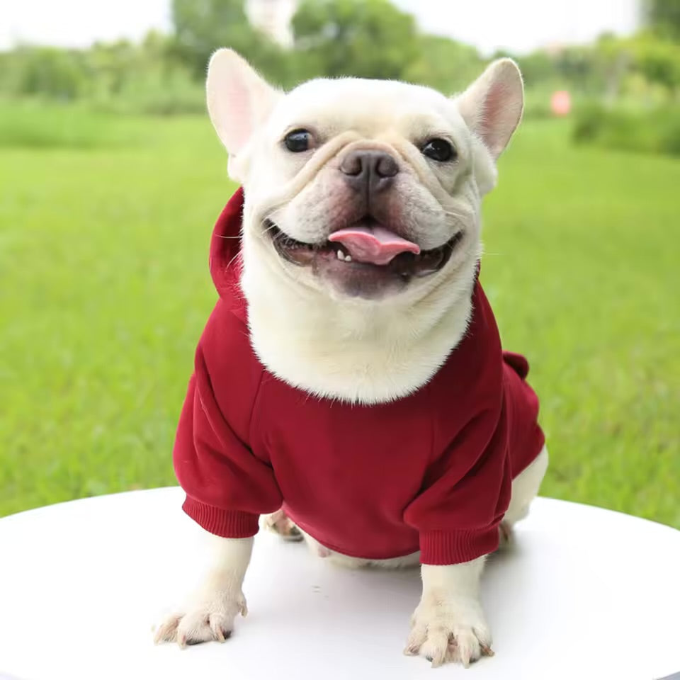 Hooded Dog Sweater Thickened Warm Winter Hoodie for Small Dogs & Cats