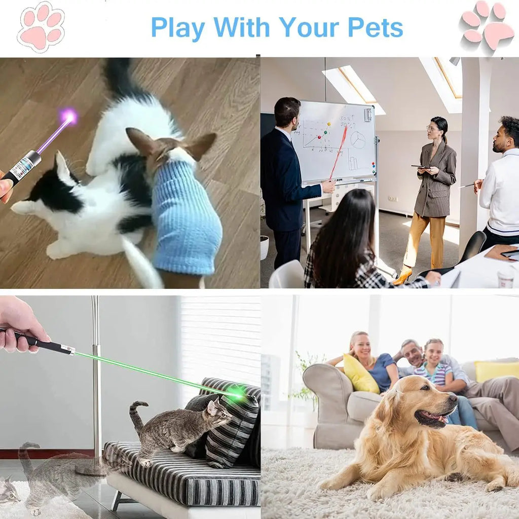 “2-in-1 Cat Laser Toy & LED Flashlight — Portable Pet Entertainer”