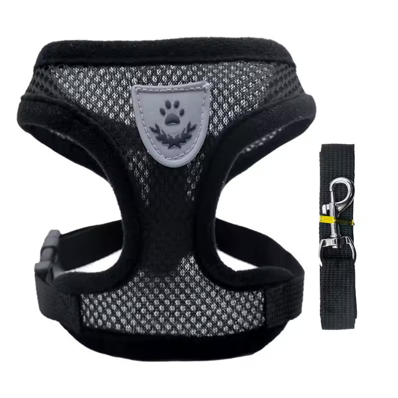 Breathable Summer Pet Harness & Leash Set Lightweight Chest Strap for Small Dogs & Cats