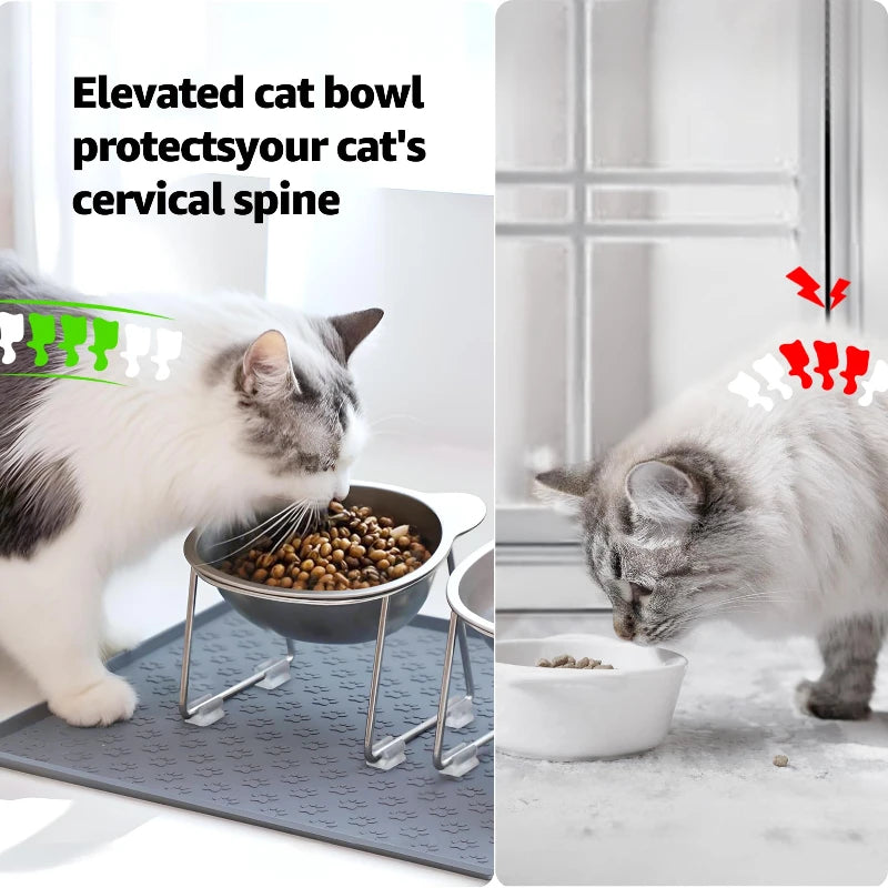 Tilted Neck Guard Pet Bowl Healthy Feeding Dish for Cats & Puppies