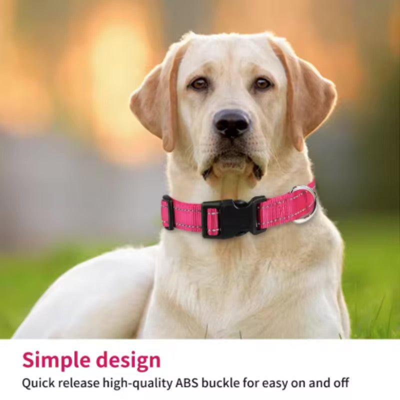 Reflective Dog Collar Adjustable Safety Nylon Collar & Leash for Small & Medium Dogs