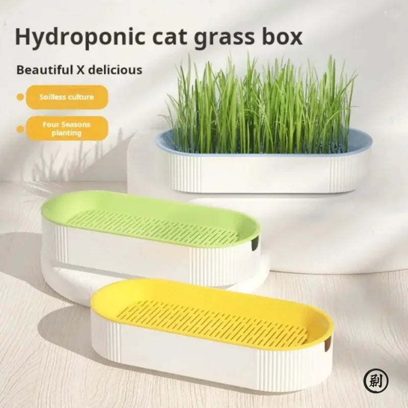 Hydroponic Cat Grass Growing Kit Soilless Catnip Planting Pot Set for Cats
