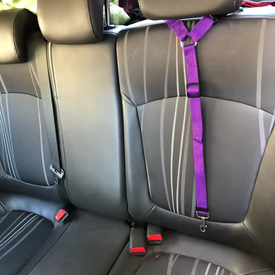 2-in-1 Dog Car Safety Belt & Harness Adjustable Nylon Seat Belt Leash for Dogs
