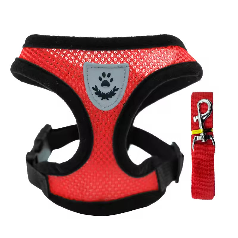 Breathable Summer Pet Harness & Leash Set Lightweight Chest Strap for Small Dogs & Cats