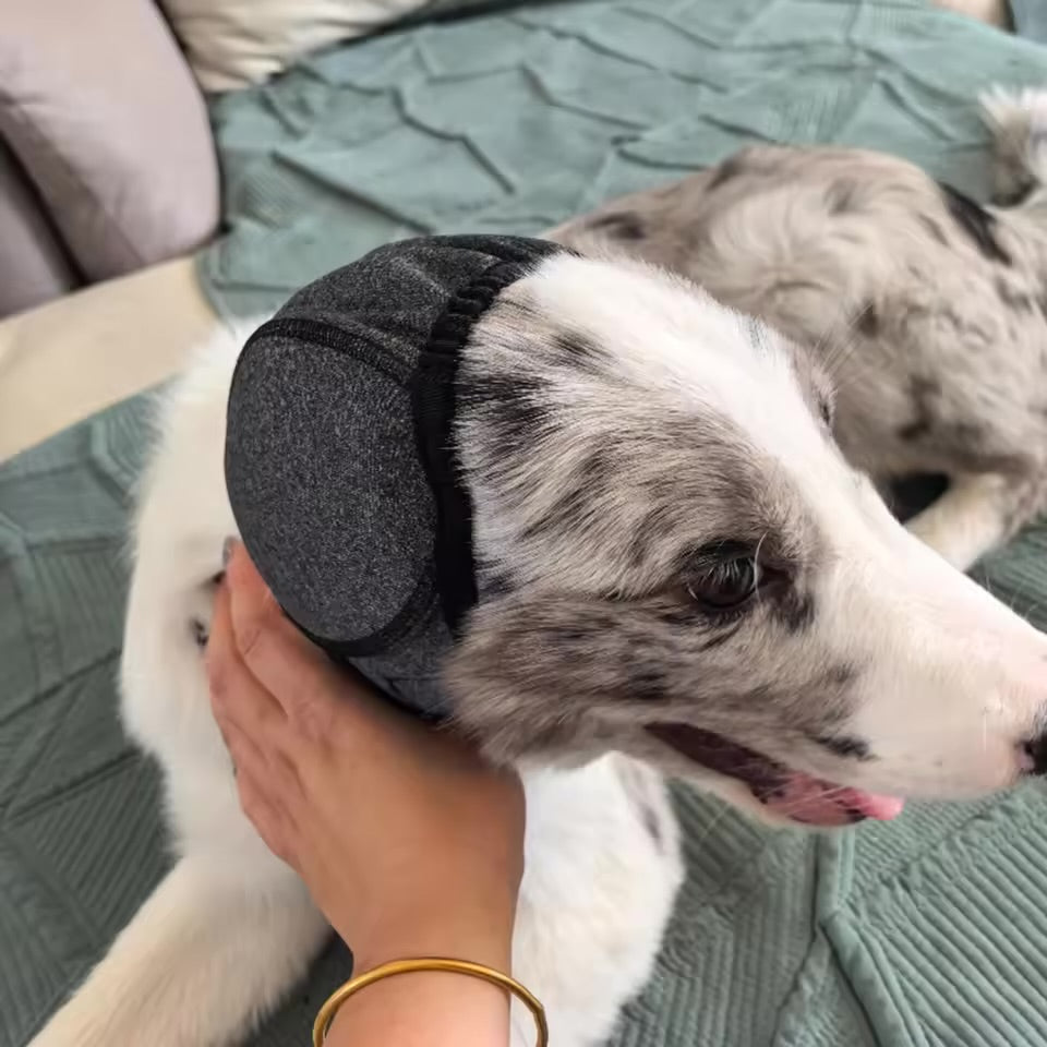Dog Noise Reduction Ear Muffs Waterproof Sound Insulation Headgear for Dogs