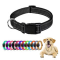 Reflective Dog Collar Adjustable Safety Nylon Collar & Leash for Small & Medium Dogs