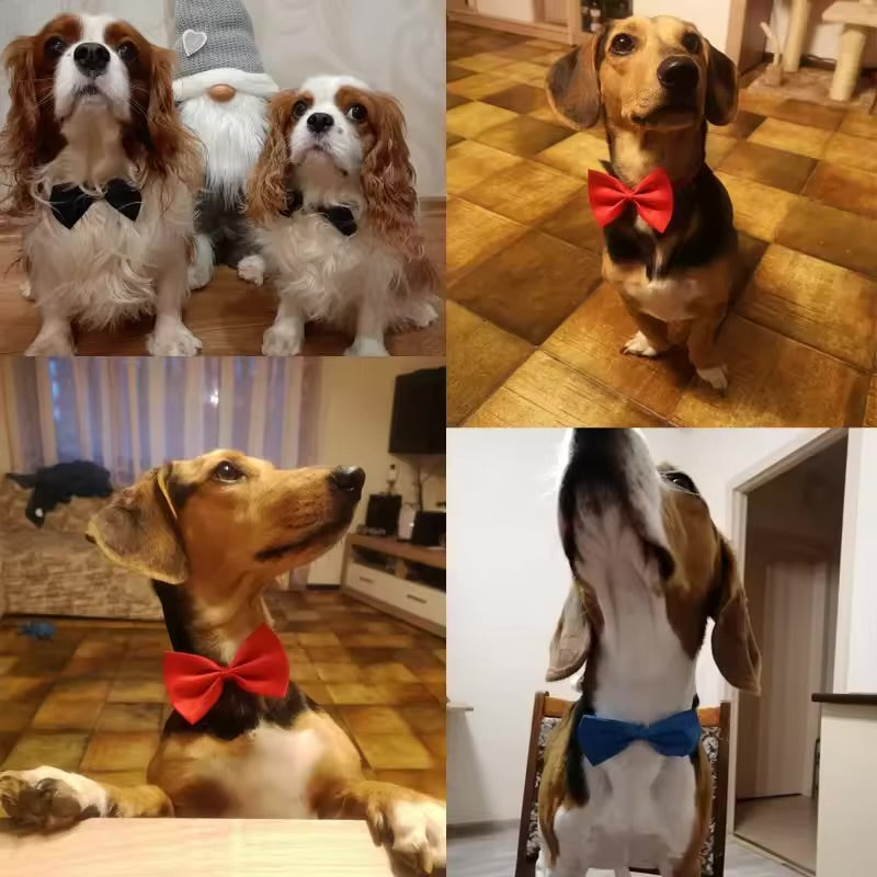 Adjustable Pet Bow Tie Collar Necklace Cute Accessory for Dogs & Cats