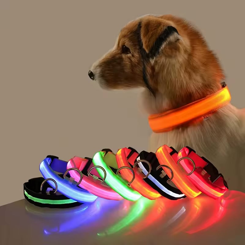 LED Glow In The Dark Dog Leash & Collar Nylon Night Safety Flashing Lead