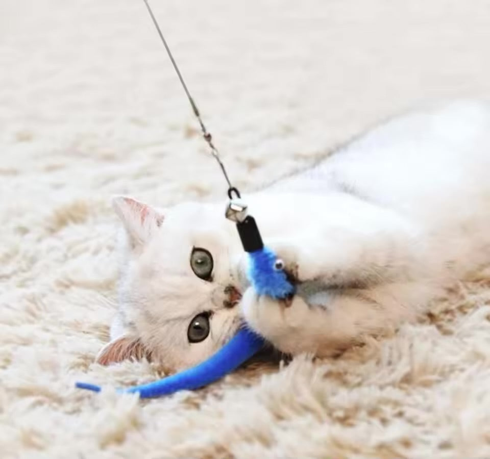 11pc Replacement Cat Feather Toy Set Retractable Cat Wand Replacement Heads