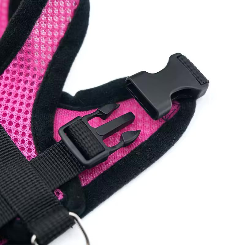 Breathable Summer Dog Harness & Leash Set Lightweight Vest for Small Dogs & Cats