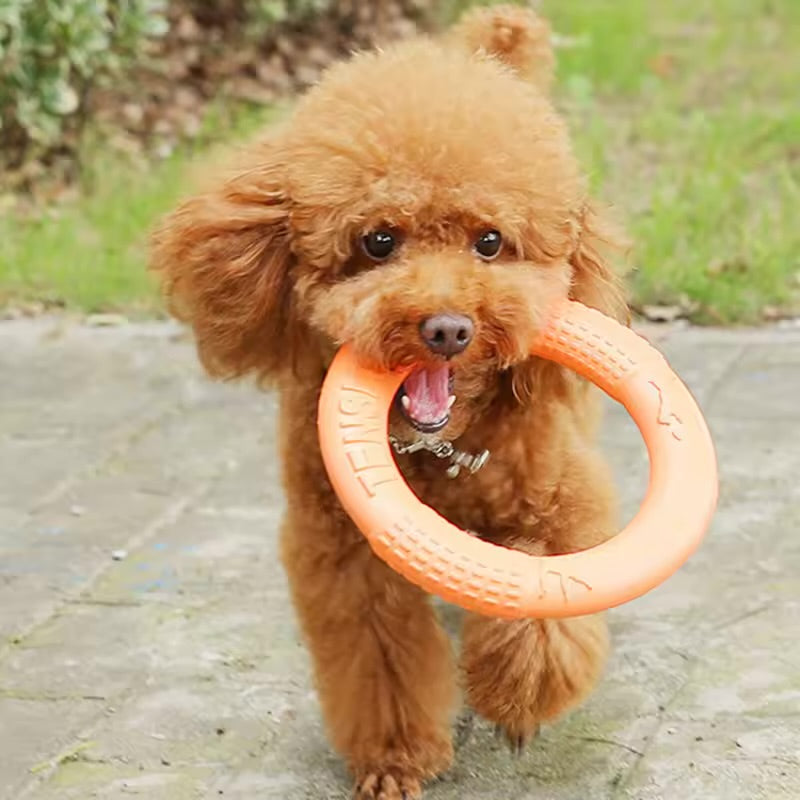 EVA Dog Flying Disc Toy lnteractive Training Ring Puller for Active Dogs