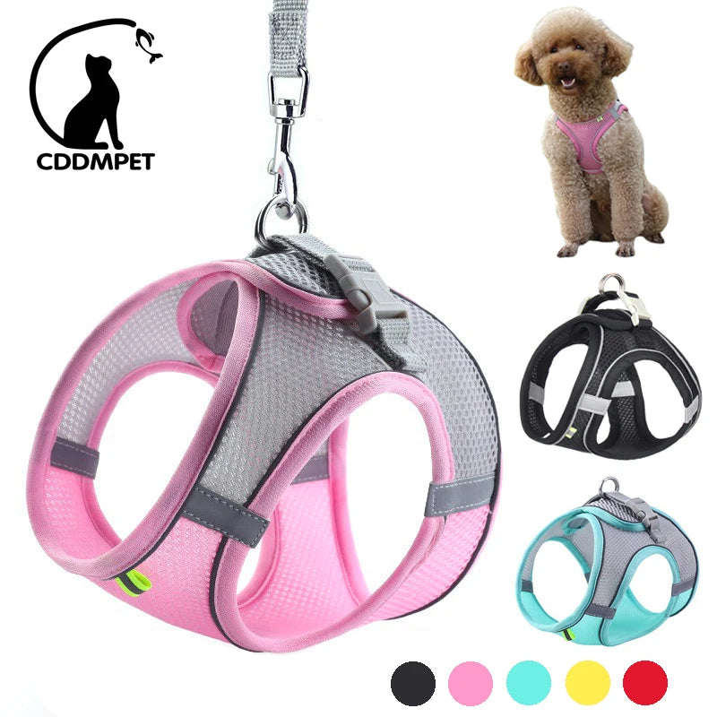 Dog Harness & Leash Set — Adjustable Reflective Vest for Small Dogs