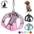 Dog Harness & Leash Set — Adjustable Reflective Vest for Small Dogs