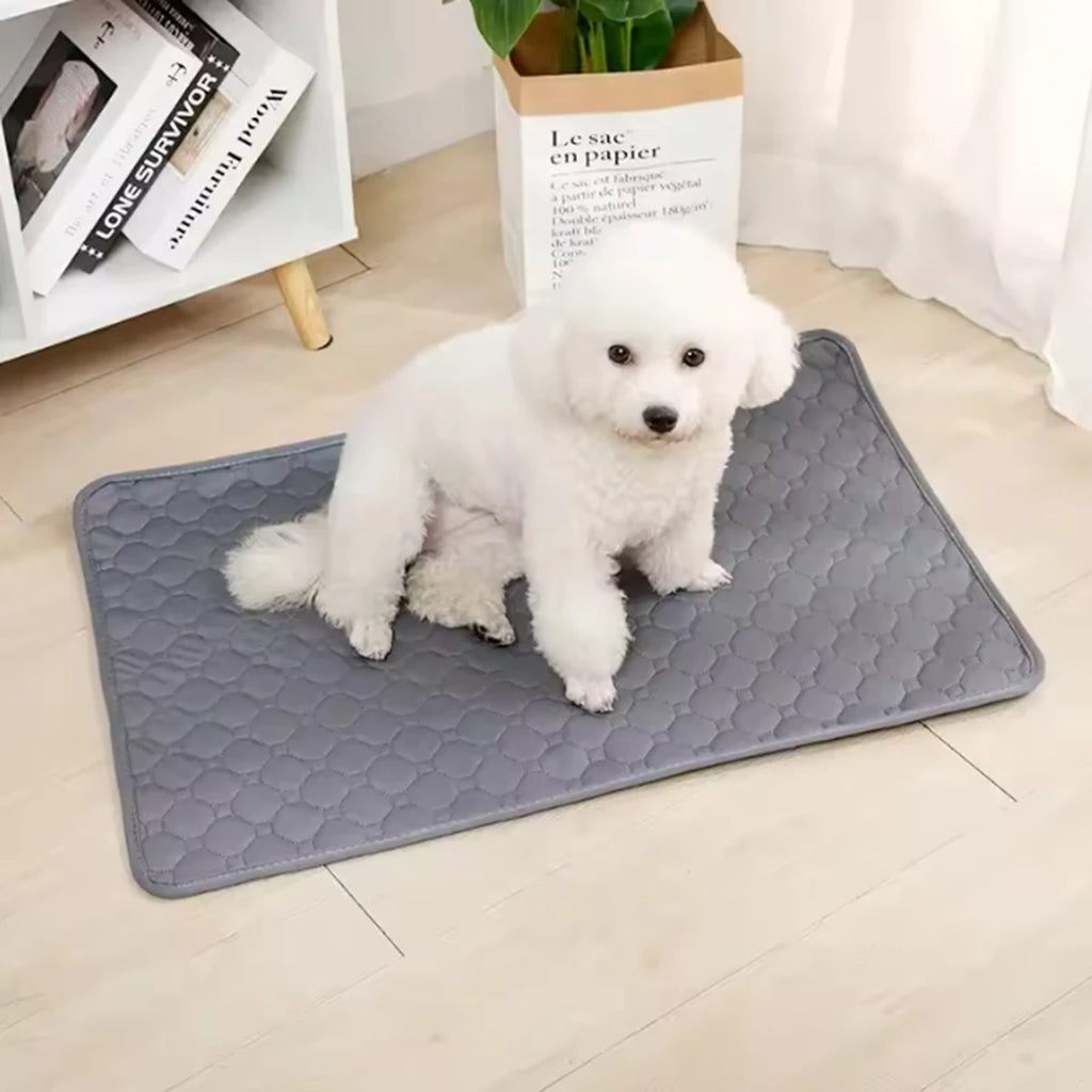Waterproof Absorbent Pet Training Mat Non-Slip Floor Sofa Protector for Puppies & Cats