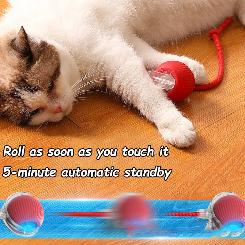 “Smart Interactive Cat Ball Toy — Automatic Rolling LED Pet Entertainer (3pc Set)”