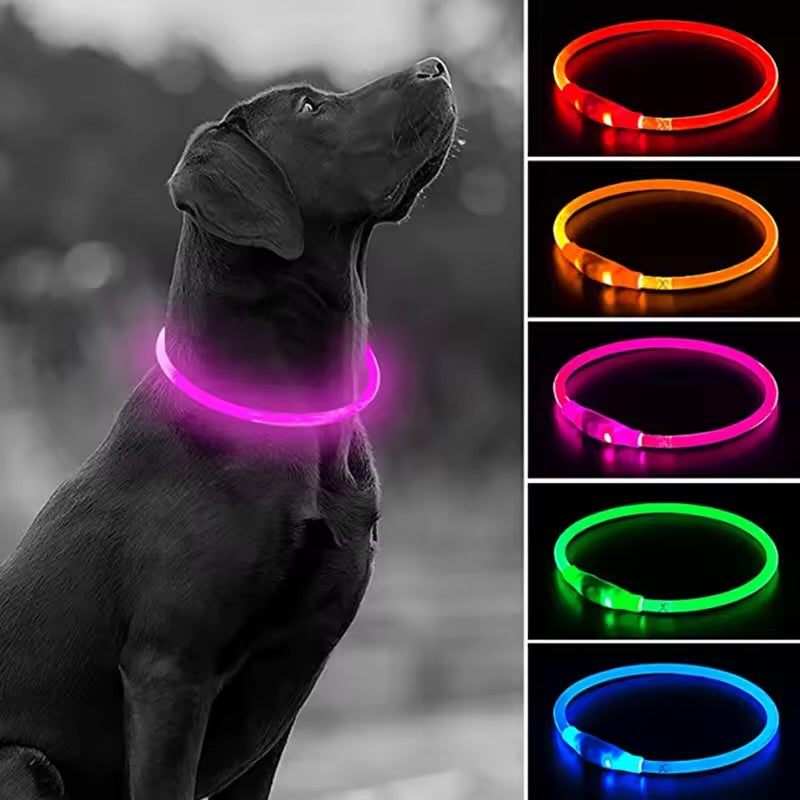 USB Rechargeable LED Dog Collar Night Safety Flashing Glow Collar for Dogs