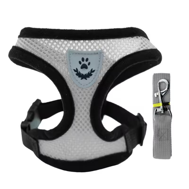 Breathable Summer Pet Harness & Leash Set Lightweight Chest Strap for Small Dogs & Cats