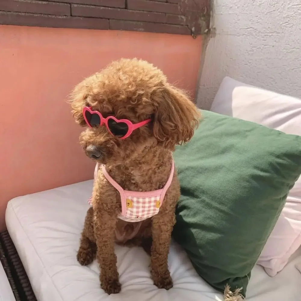 Fashion Pet Sunglasses Creative Love Heart Glasses for Cats & Dogs