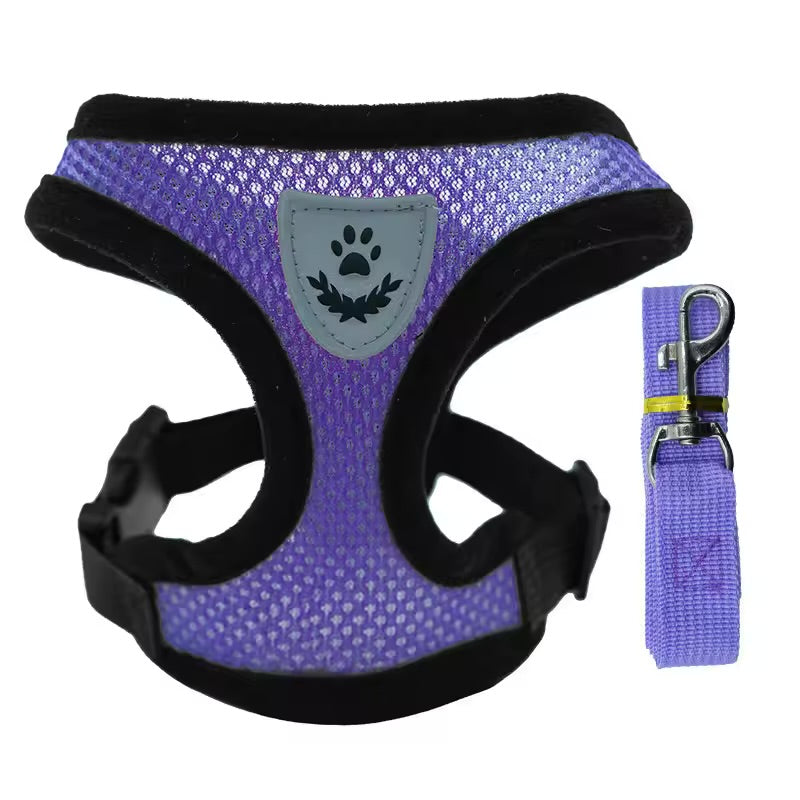 Breathable Summer Pet Harness & Leash Set Lightweight Chest Strap for Small Dogs & Cats
