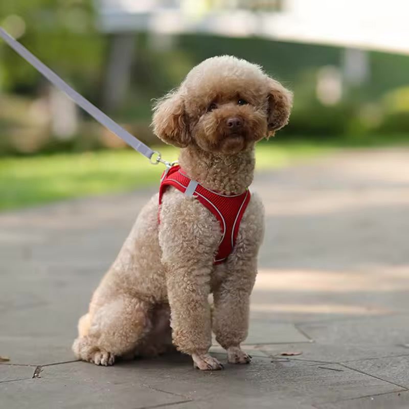 Dog Harness & Leash Set — Adjustable Reflective Vest for Small Dogs
