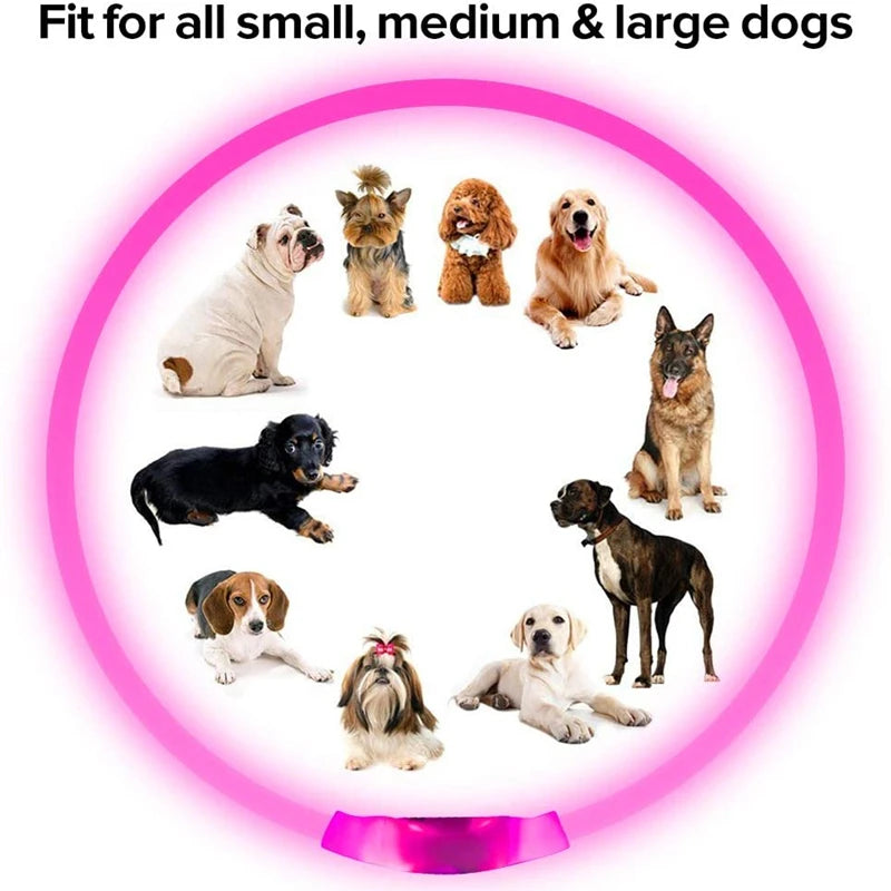 USB Rechargeable LED Dog Collar Night Safety Flashing Glow Collar for Dogs