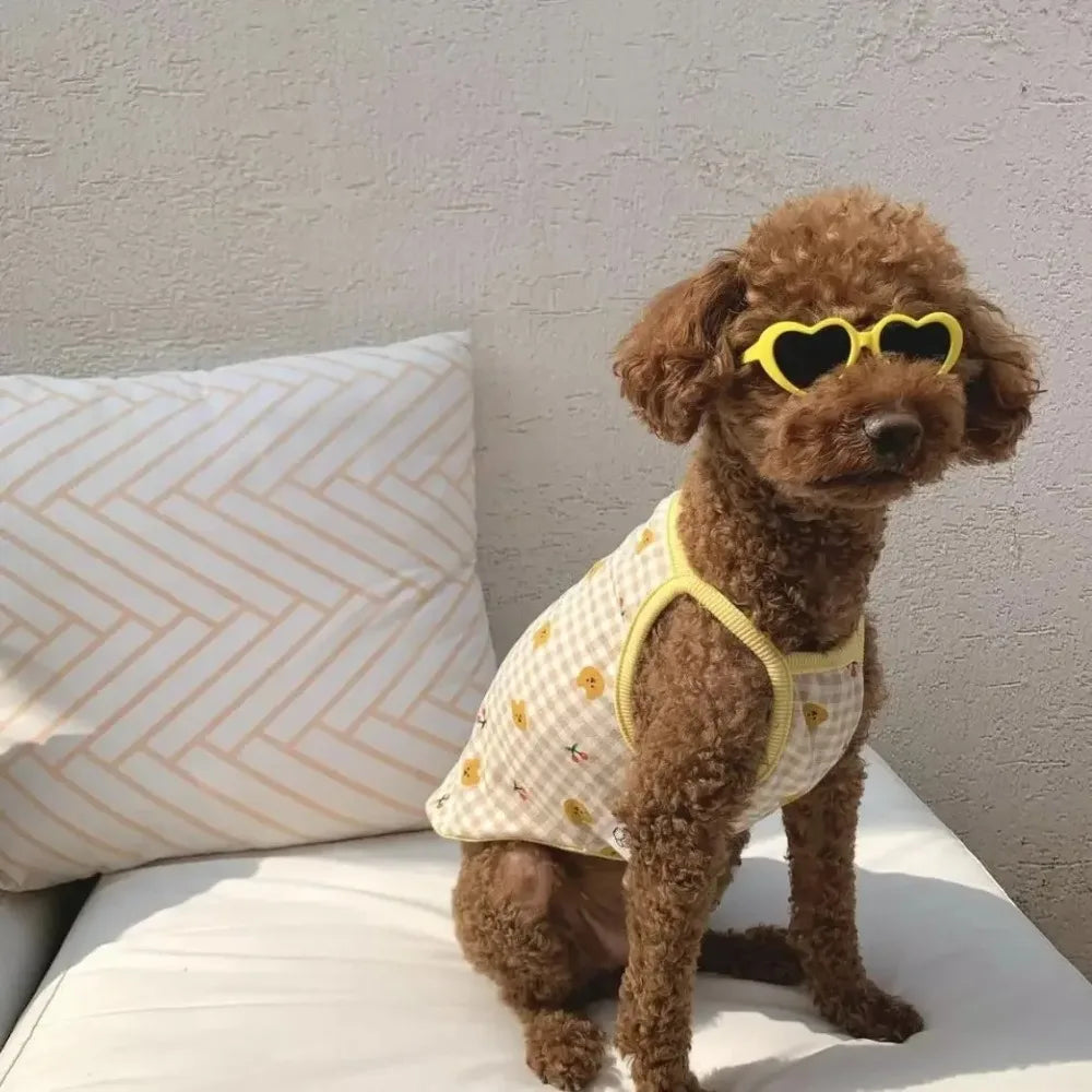 Fashion Pet Sunglasses Creative Love Heart Glasses for Cats & Dogs