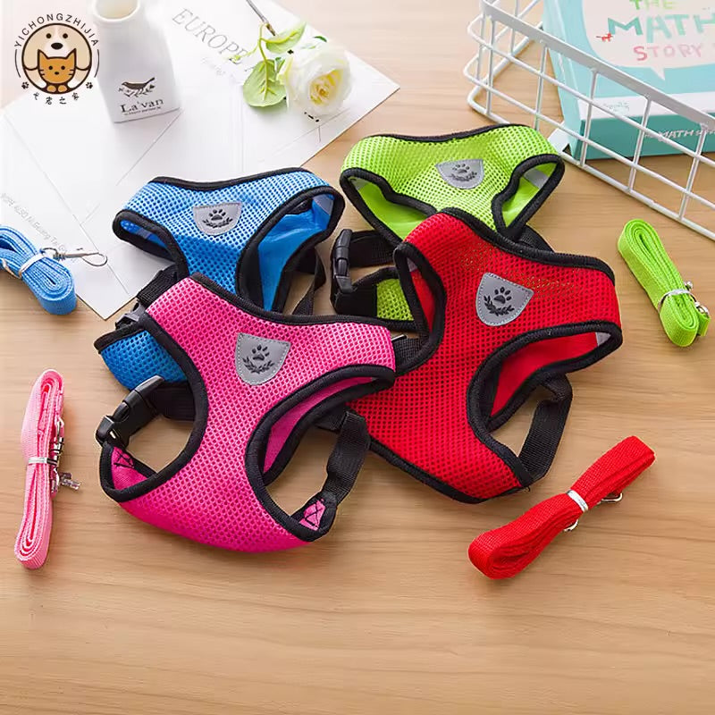 Breathable Summer Pet Harness & Leash Set Lightweight Chest Strap for Small Dogs & Cats