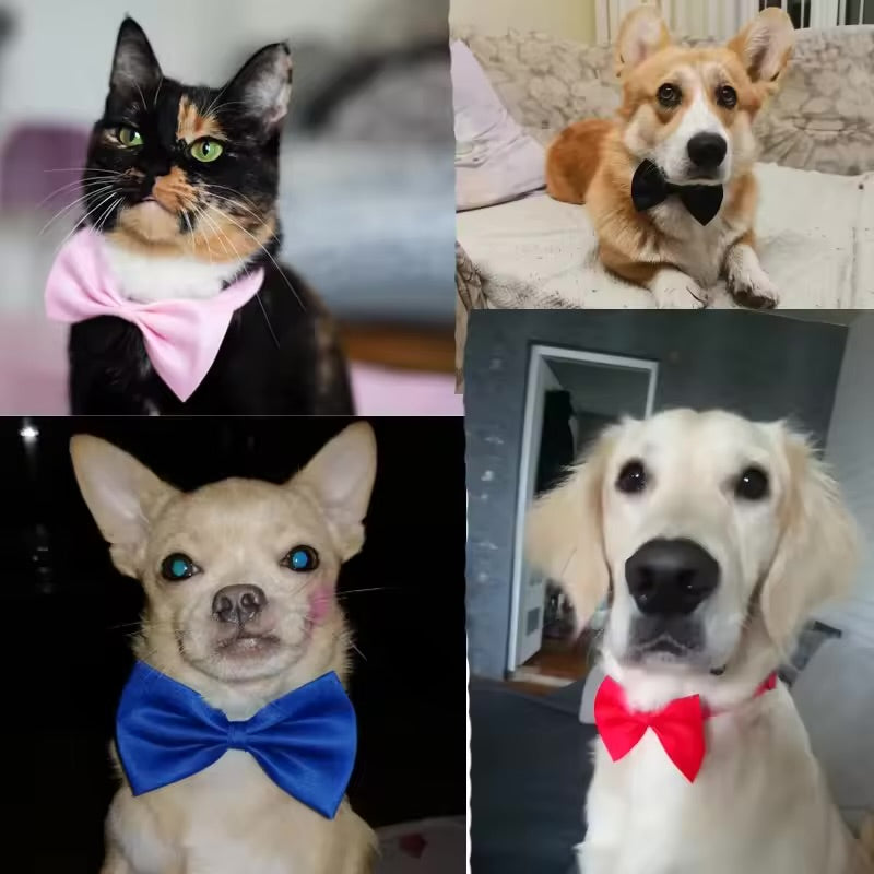 Adjustable Pet Bow Tie Collar Necklace Cute Accessory for Dogs & Cats