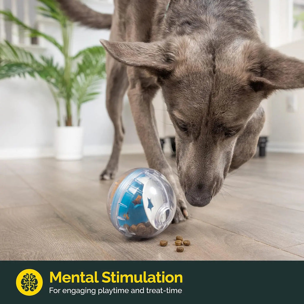 “IQ Treat Ball — Interactive Slow Feeder & Mental Stimulation Toy for Dogs & Cats”