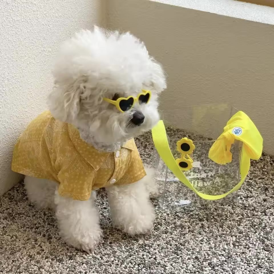 Fashion Pet Sunglasses Creative Love Heart Glasses for Cats & Dogs